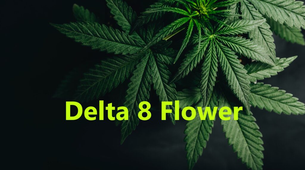 Delta 8 Flower